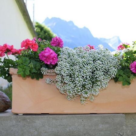 Apart Brigitta Sankt Leonhard im Pitztal Dış mekan fotoğraf