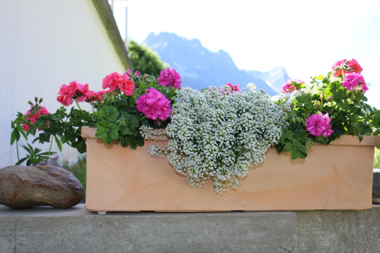 Apart Brigitta Sankt Leonhard im Pitztal Dış mekan fotoğraf